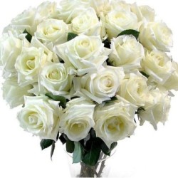 Buchet din 25 de trandafiri albi