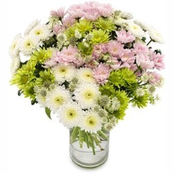 Buchet in vaza din crizanteme multicolore