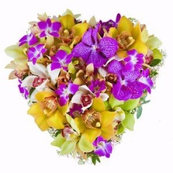 Aranjament floral din orhidee mixta