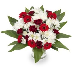 Buchet alb rosu in vaza din crizanteme si trandafiri