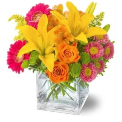 Aranajament multicolor in vaza din crini, gerbera si alte flori